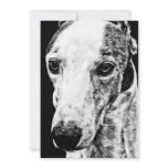 WHIPPET CUSTOM INVITATIONS