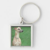 Whippet Key Chain