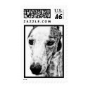 WHIPPET POSTAGE