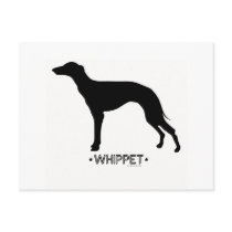 Whippet Postcard
