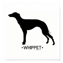 Whippet Print