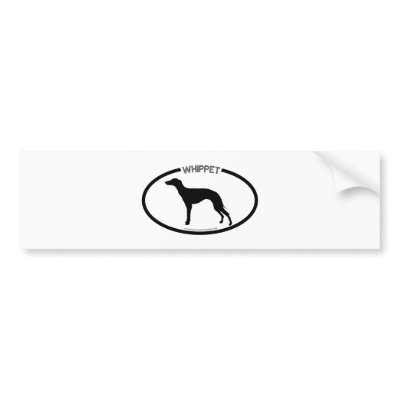 Whippet Silhouette Black Bumper Sticker by dogsilhouettes