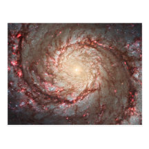 Whirlpool Galaxy Post Cards
