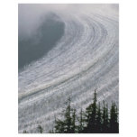 Whirlpool Of Snow flyers