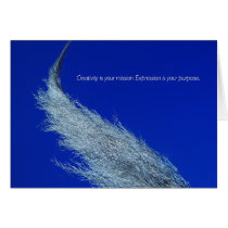Whiskers cards