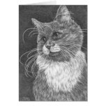 Whiskers Cat Drawing by Kelli Swan cards