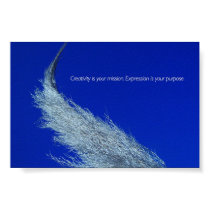 Whiskers posters