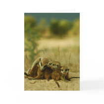 Whiskers pups - KMP Card 19