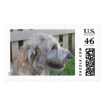 Whiskey postage by hbchrist Whiskey postage