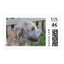 Whiskey Stamps