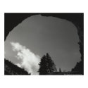 Whisp posters by shadough69 Whisp posters