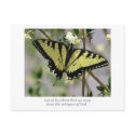 Whisper Butterfly postcards