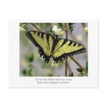 Whisper Butterfly postcards by bpmcwill Whisper Butterfly postcards
