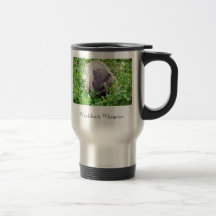 Whisperer de la marmota taza de café