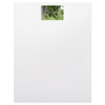 Whispering Greens - the Mystery Beyond Customized Letterhead