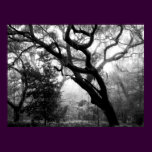 Whispering Oaks