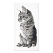 Whistful photo cards by KarenHullArt Whistful photo cards