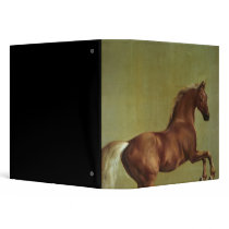 Whistlejacket, 1762 vinyl binders