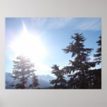 Whistler Bluebird Posters