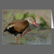 Whistling Duck Card