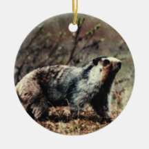 Whistlng Marmot Christmas Ornaments