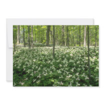 white A field of trilliums, Niagara Falls flowers Custom Announcement