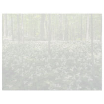 white A field of trilliums, Niagara Falls flowers Letterhead