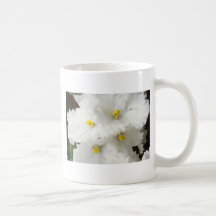 white African violet Garden Hews flowers Coffee Mugs