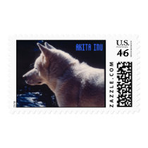 White Akita Inu Postage Stamp by AkitaZazzle White Akita Inu Postage Stamp
