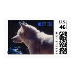 White Akita Inu Postage Stamp