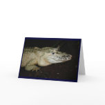 White Albino Alligator Photo , Gator  Image Greeting Cards