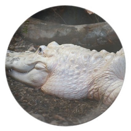 white albino alligator watercolor style image dinner plate