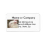 White albino netherland dwarf rabbit head address label