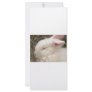 White albino netherland dwarf rabbit head full color rack card