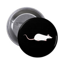 White Albino Pet Rat. Pins
