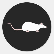 White Albino Pet Rat. Round Sticker