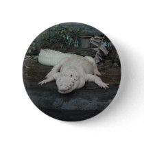 white alligator pins