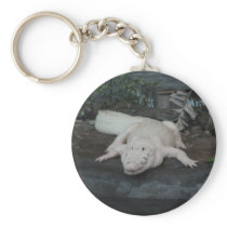 white alligator key chain