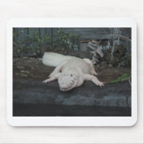 white alligator mouse mat