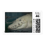 White Alligator Postage