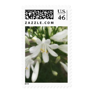 White Allium 3 stamp