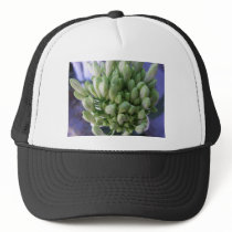 White Allium Buds hats by LivingNature White Allium Buds hats