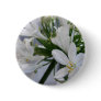 White Allium Flowers 1