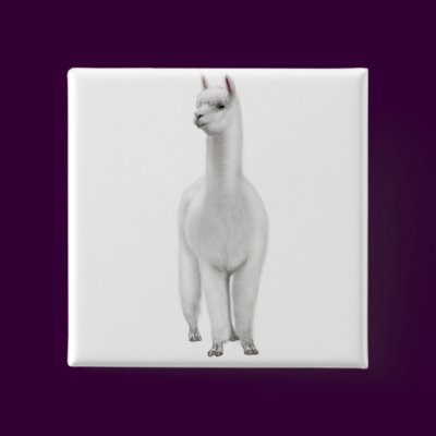 White Alpaca Pin by twopurringcats