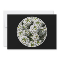 White Alyssum Personalized Announcement
