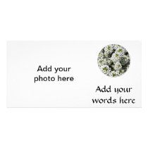 White Alyssum Personalized Photo Card