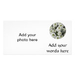 White Alyssum Personalized Photo Card