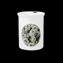 White Alyssum pitchers