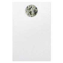 White Alyssum Stationery Design