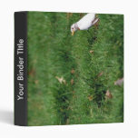 White American robin 3 Ring Binder
